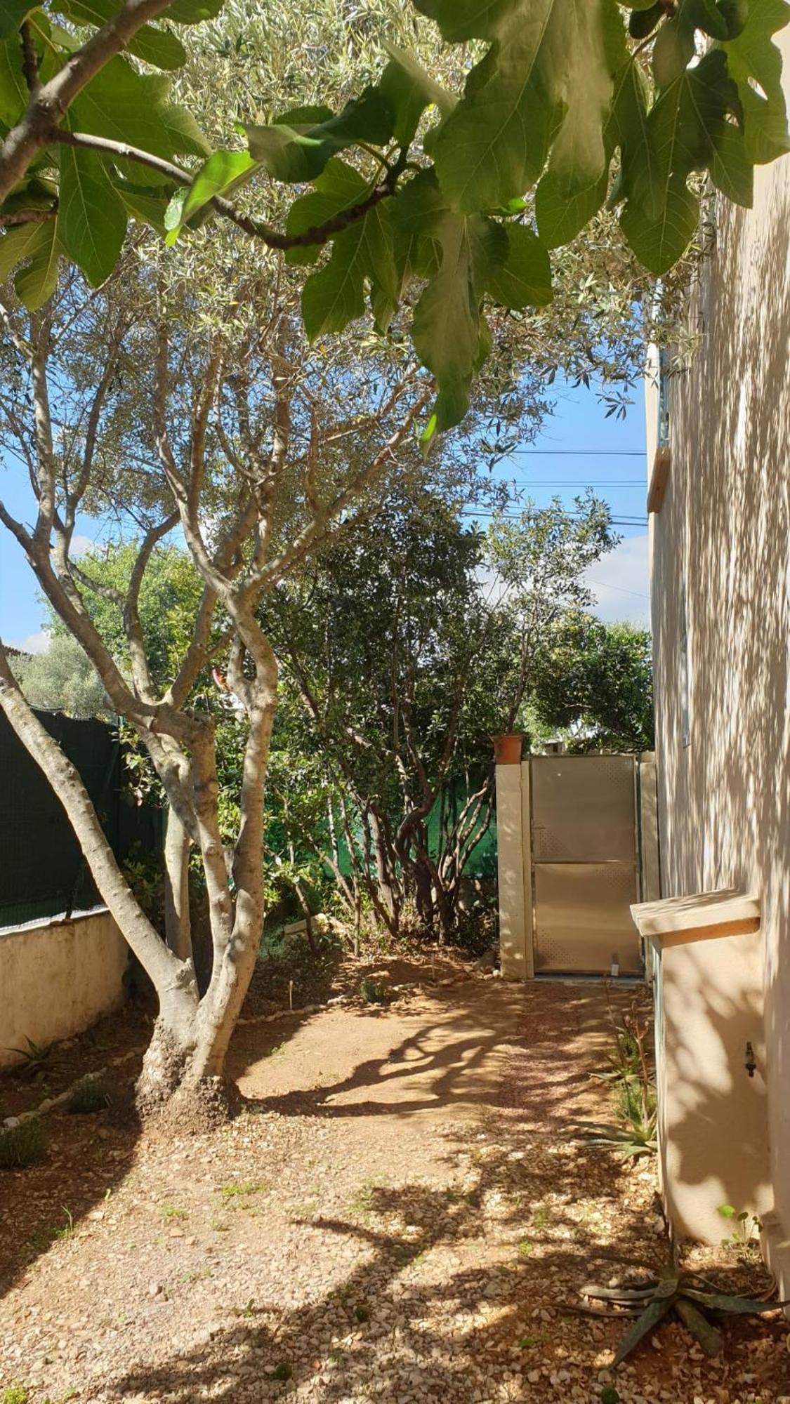 L'Oliveraie Hyeres Bagian luar foto